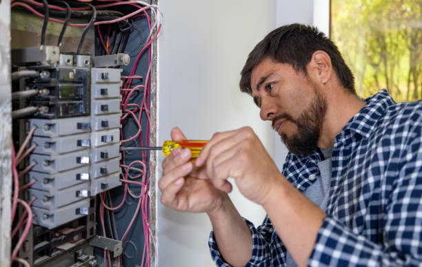 Best Ceiling Fan Installation Electrician  in Lopezville, TX